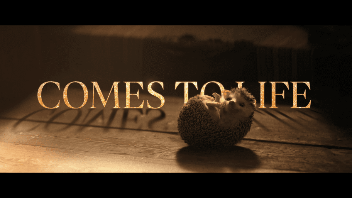 Thumbnail Placeholder